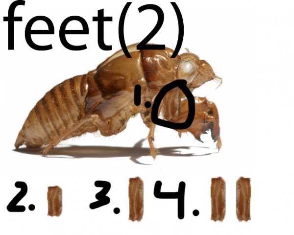 Creation of Robot fly! (updated): Step 15